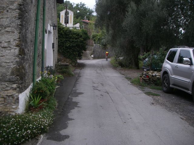 Galleria immagini