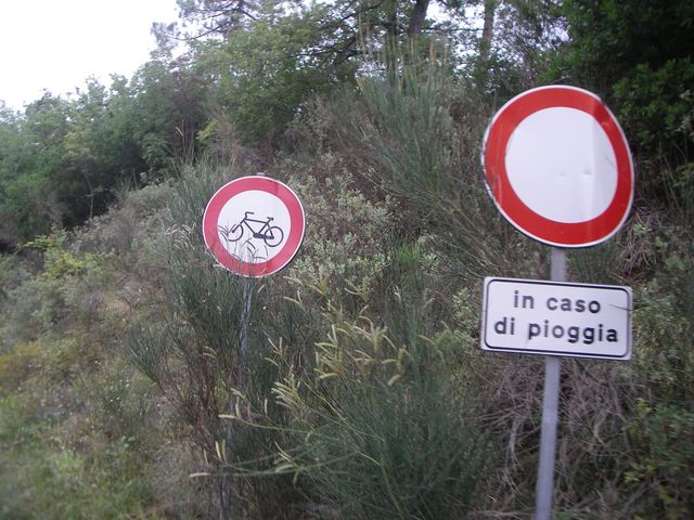 Galleria immagini