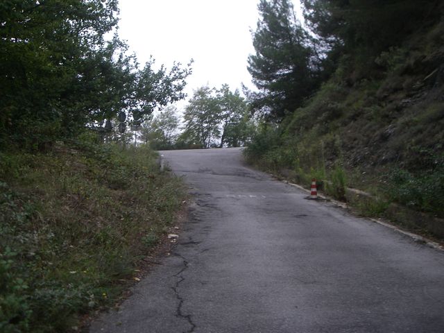 Galleria immagini