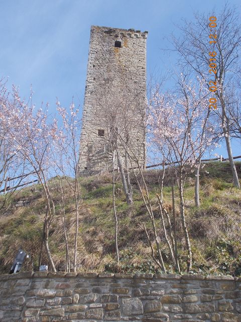 Galleria immagini