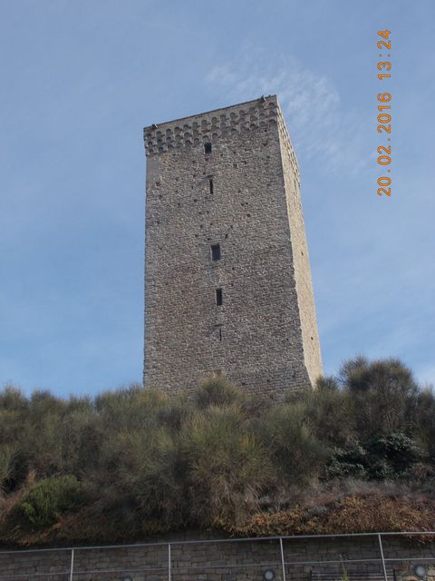 Galleria immagini