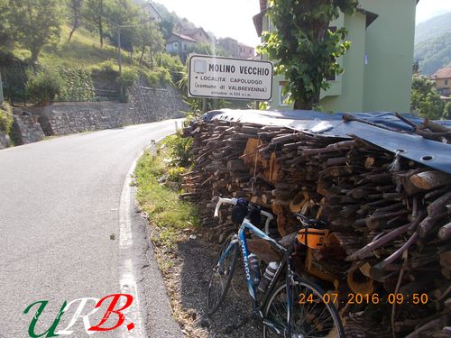 immagine 08