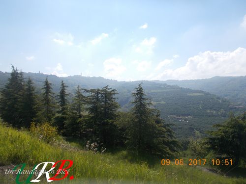 rid 2017 09 10 cavalcando appennino ligure 1