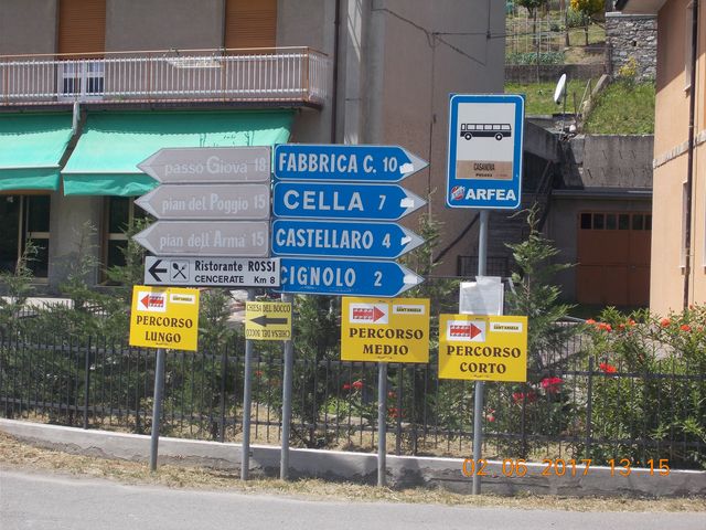 Galleria immagini