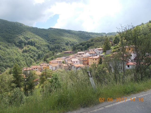 Galleria immagini