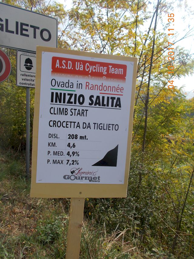 Galleria immagini