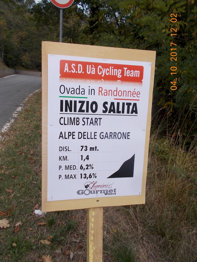 Galleria immagini