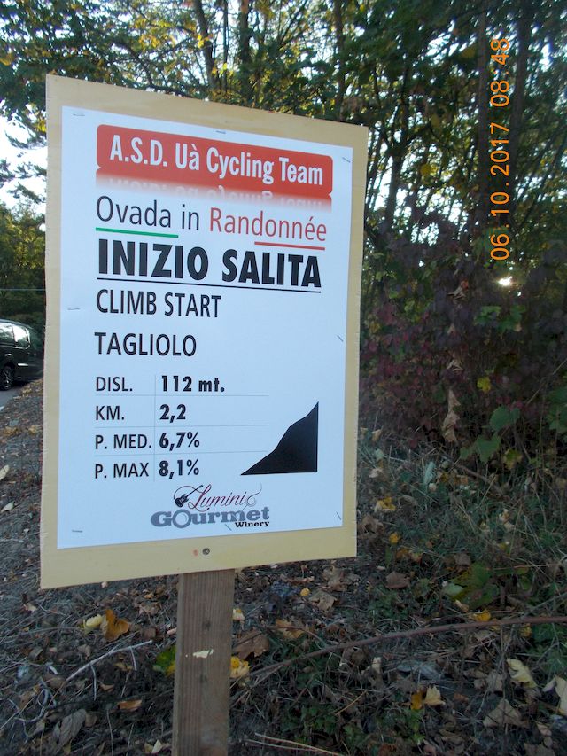 Galleria immagini