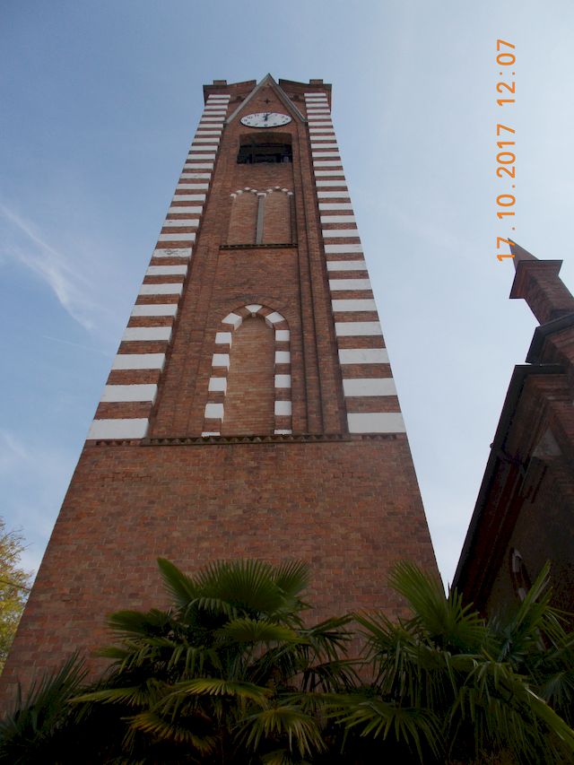 Galleria immagini
