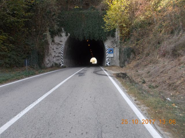 Galleria immagini