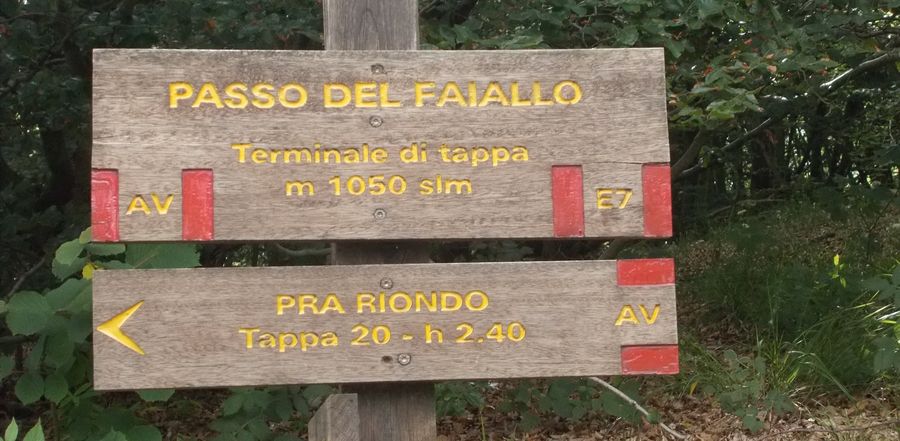 immagine altimetrica