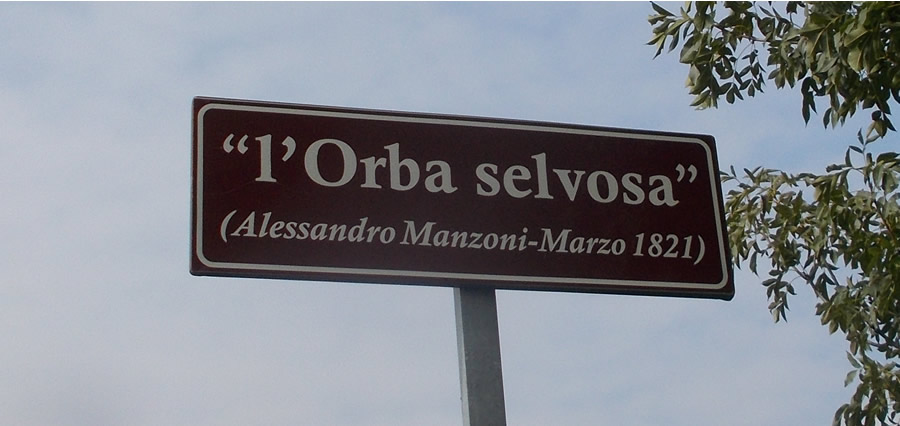 immagine altimetrica
