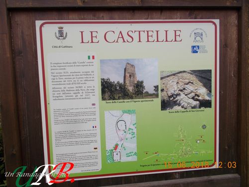 immagine 08