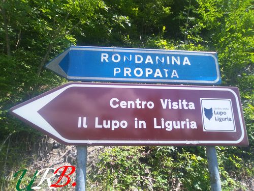 rid 2018 09 10 cavalcando appennino ligure 14