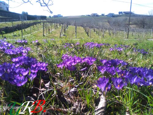 rid 2020 09 10 cavalcando appennino ligure 2