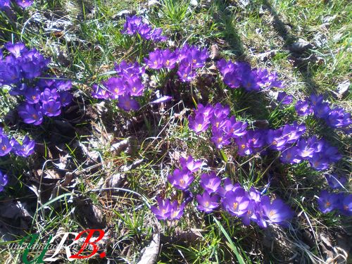 rid 2020 09 10 cavalcando appennino ligure 3