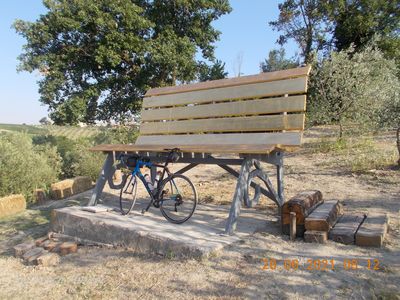 Big Bench 146 Olivola Oro