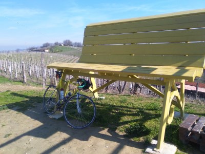 Big Bench 21 Strevi Giallo Moscato