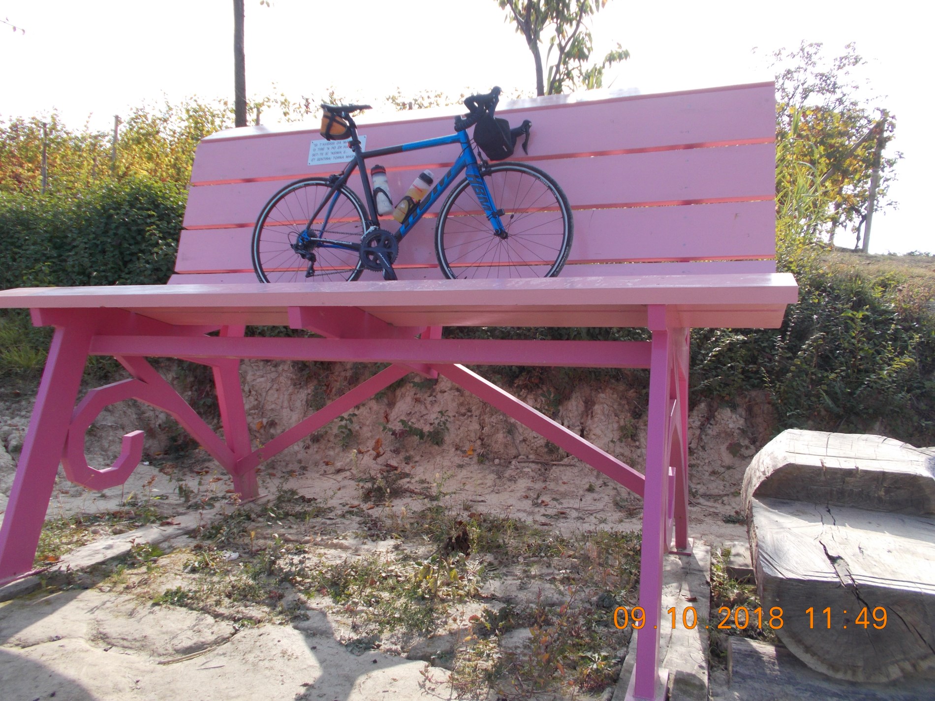 big bench 47 madonna dei cavalli rosa