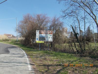 coniolo