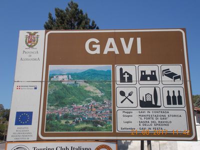 gavi