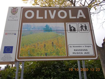 olivola